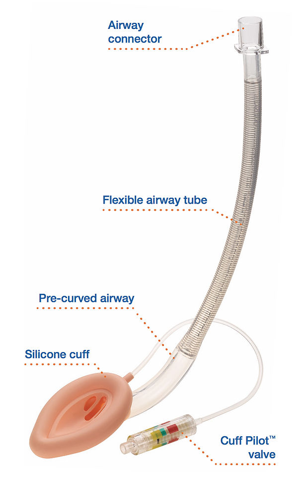 Flexible PreCurved Laryngeal Mask Airway
